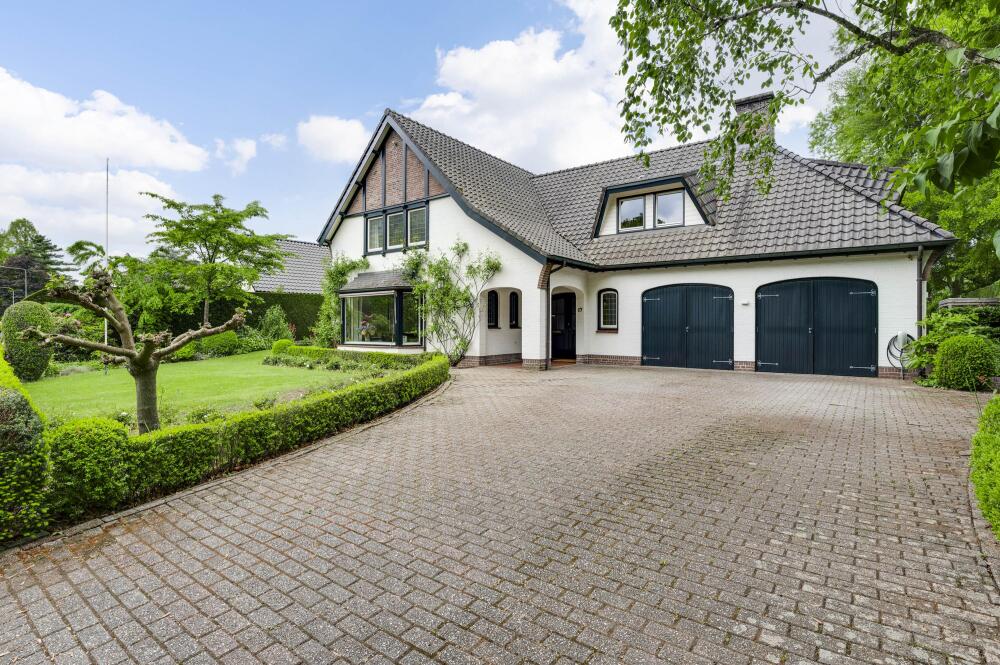 Foto 6 1000w